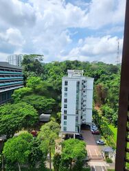The Lanai (D23), Condominium #479577151